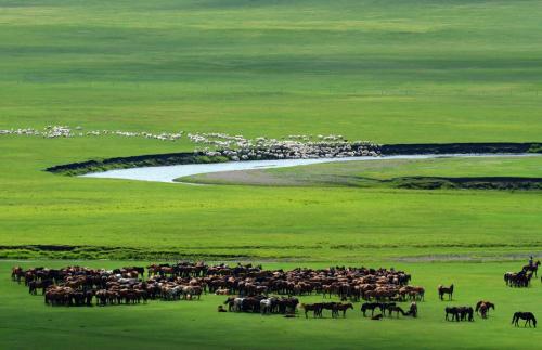鄂温克族旗天气预报20天查询