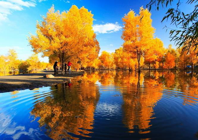 额济纳旗天气预报20天查询