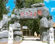 徐水天气预报20天查询