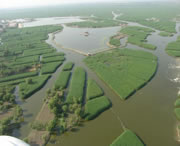 安新天气预报20天查询