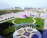 康保天气预报20天查询