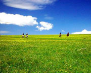 蔚县天气预报20天查询