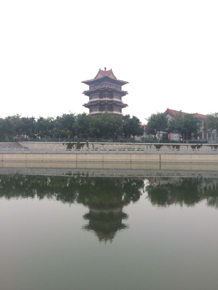 运河天气预报20天查询