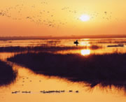 衡水天气预报20天查询