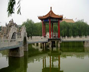 临城天气预报20天查询