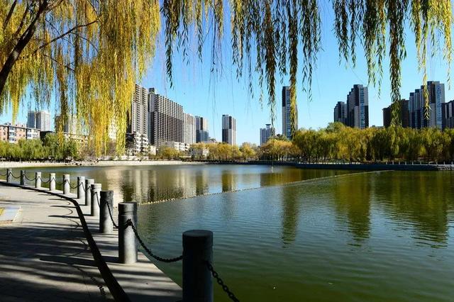 杏花岭天气预报20天查询