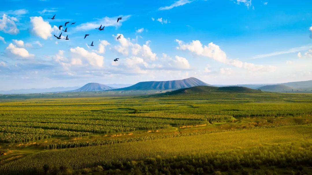 大同天气预报20天查询