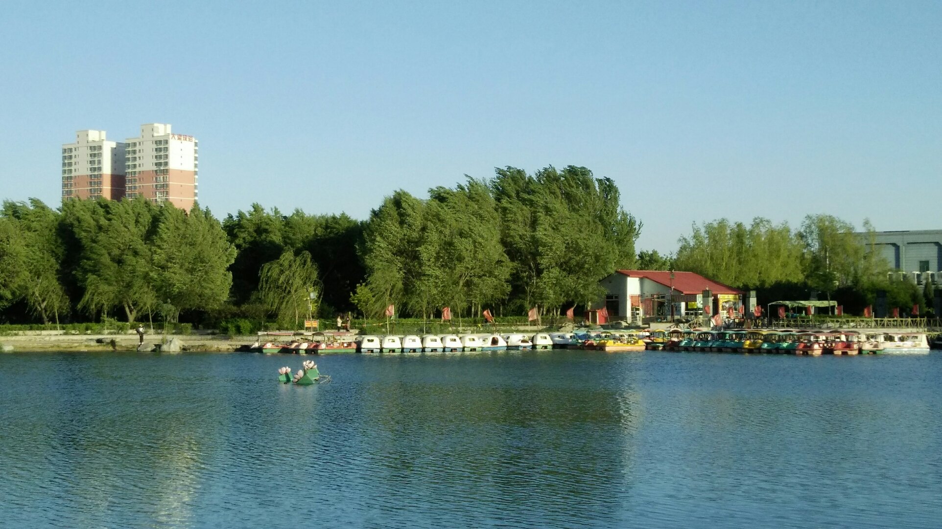 南郊天气预报20天查询