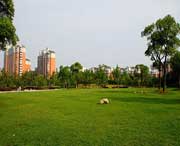 大宁天气预报20天查询