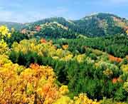 蒲县天气预报20天查询