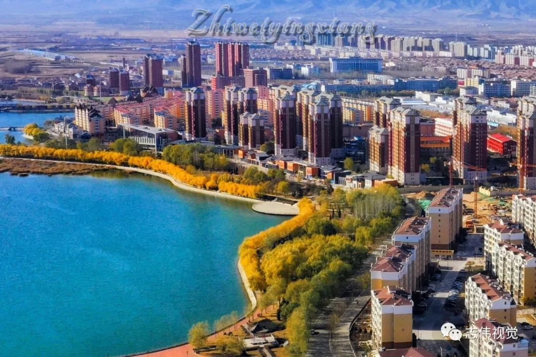 朔城天气预报20天查询