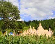 石楼天气预报20天查询