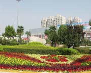 长安天气预报20天查询