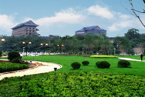 莲湖天气预报20天查询