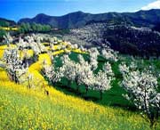 淳化天气预报20天查询