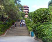 武功天气预报20天查询