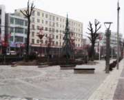 长武天气预报20天查询