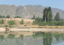 横山天气预报20天查询