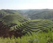 米脂天气预报20天查询