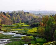 洋县天气预报20天查询