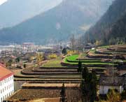 佛坪天气预报20天查询