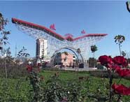 岐山天气预报20天查询