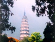 长清天气预报20天查询