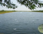 商河天气预报20天查询