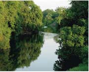 武城天气预报20天查询