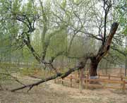 夏津天气预报20天查询