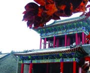 昌邑天气预报20天查询