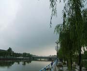 鱼台天气预报20天查询