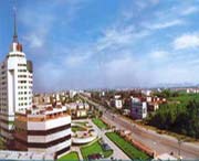 泗水天气预报20天查询