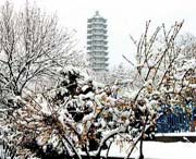 苍山天气预报20天查询