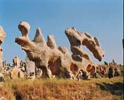 费县天气预报20天查询