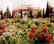 菏泽天气预报20天查询