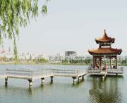 曹县天气预报20天查询