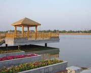 成武天气预报20天查询