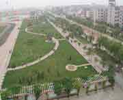 无棣天气预报20天查询