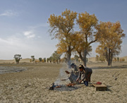 尉犁天气预报20天查询