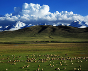 焉耆天气预报20天查询