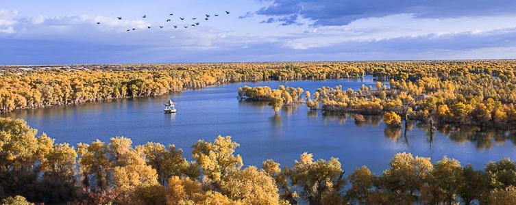 巴州天气预报20天查询