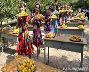 英吉沙天气预报20天查询