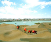 岳普湖天气预报20天查询