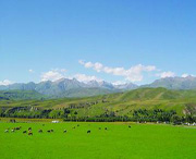 尼勒克天气预报20天查询