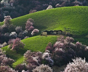 巩留天气预报20天查询