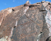 裕民天气预报20天查询