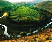 乌苏天气预报20天查询