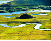 青河天气预报20天查询