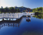 温泉天气预报20天查询